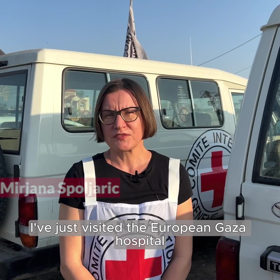 20231204-Gaza...1-Square.mp4