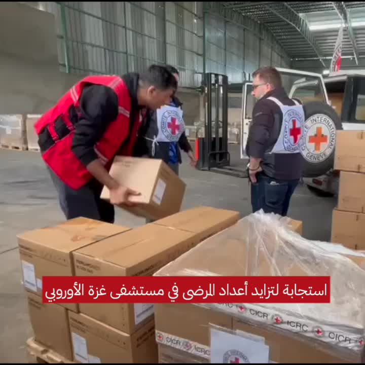 European h... Ara (1).mov