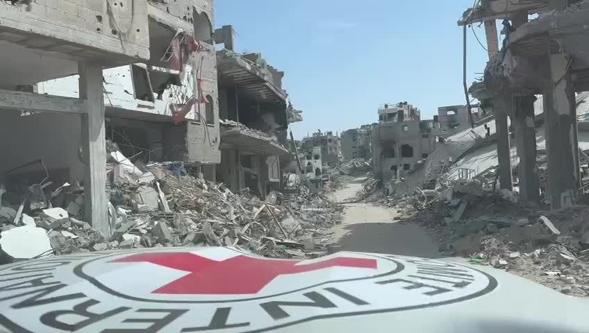 WhatsApp-Video...12.43.02-PM.mp4