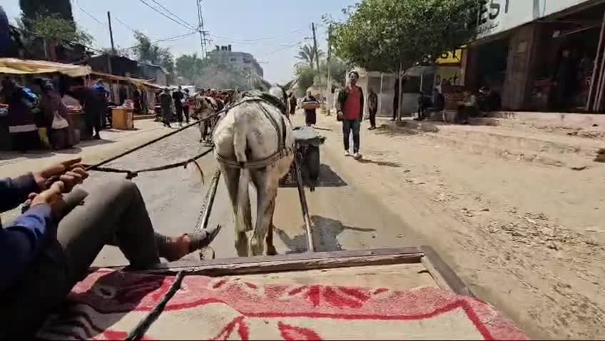 be1cb073-e1d2...9e93-5d0ac2208072.mov